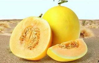 吃瓜网166su,带你走进网络八卦的神秘世界