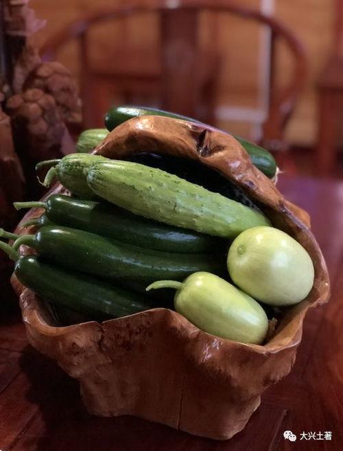 网红谭沁洁吃瓜,揭秘网红圈幕后故事